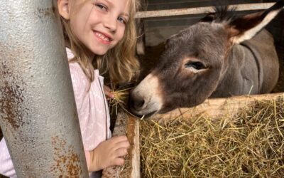 Terenska nastava „Srce Bukovice“ – dan za pamćenje!