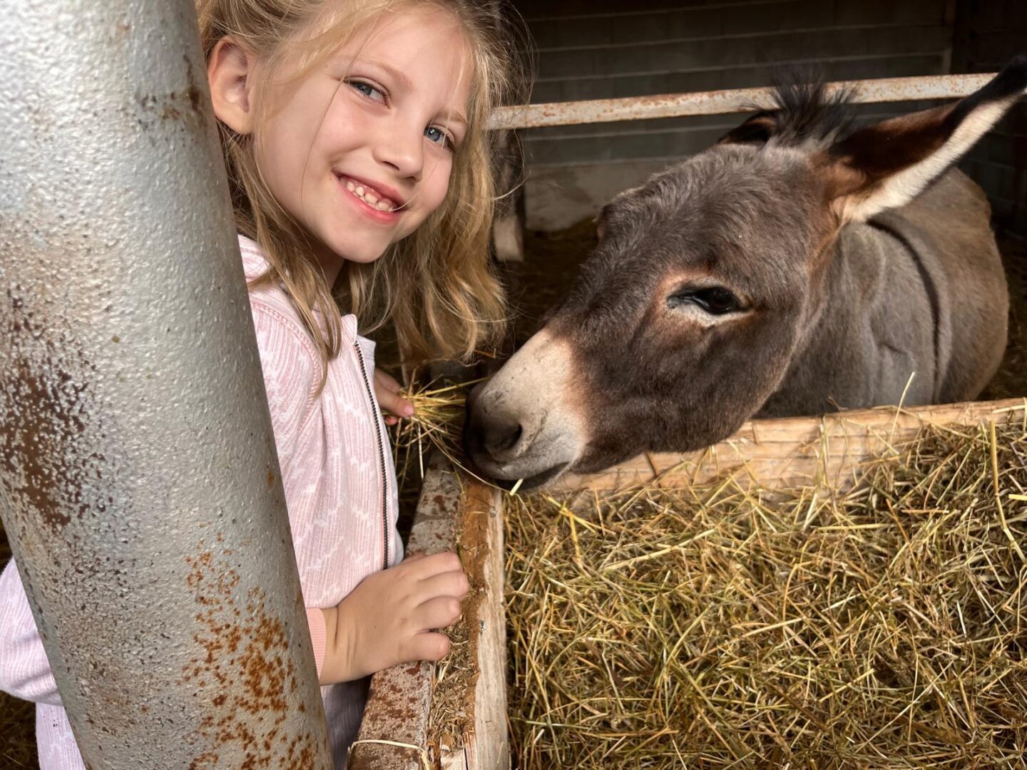 WhatsApp Slika 2025-11-03 u 18.30.11_949a9ba3